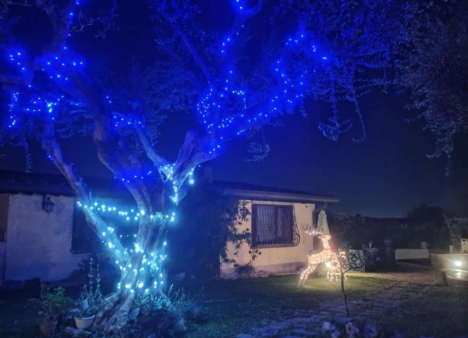 La Valle Dei Casali B&B Con Piscina E Natura A Roma 3*, Rom