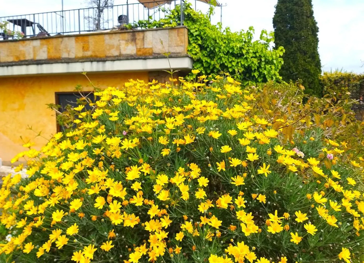 La Valle Dei Casali Com Rome